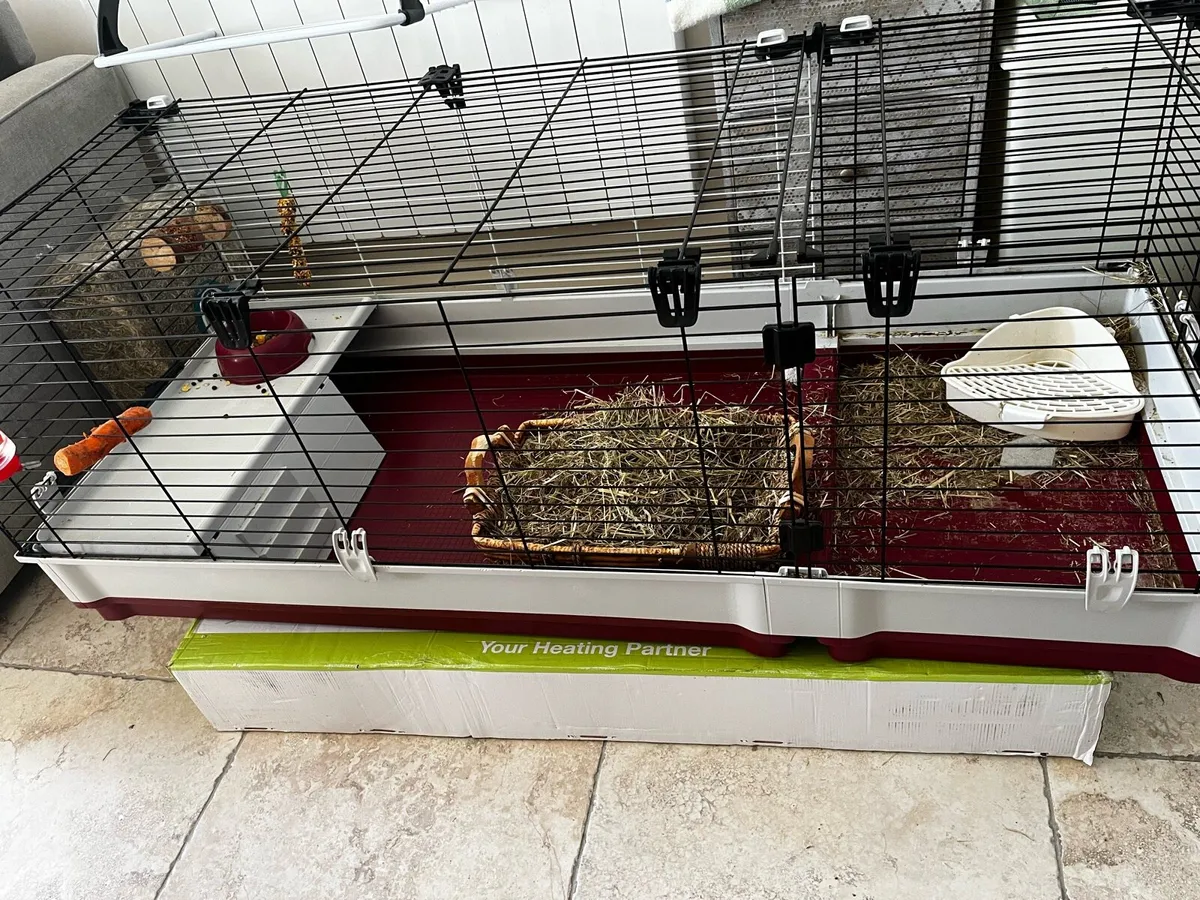Cage for rabbit - Image 1