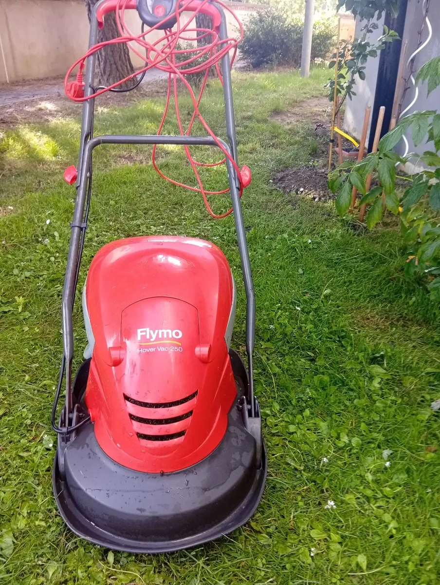 Flymo Electric Lawnmower Grass Cutter 6months old - Image 2