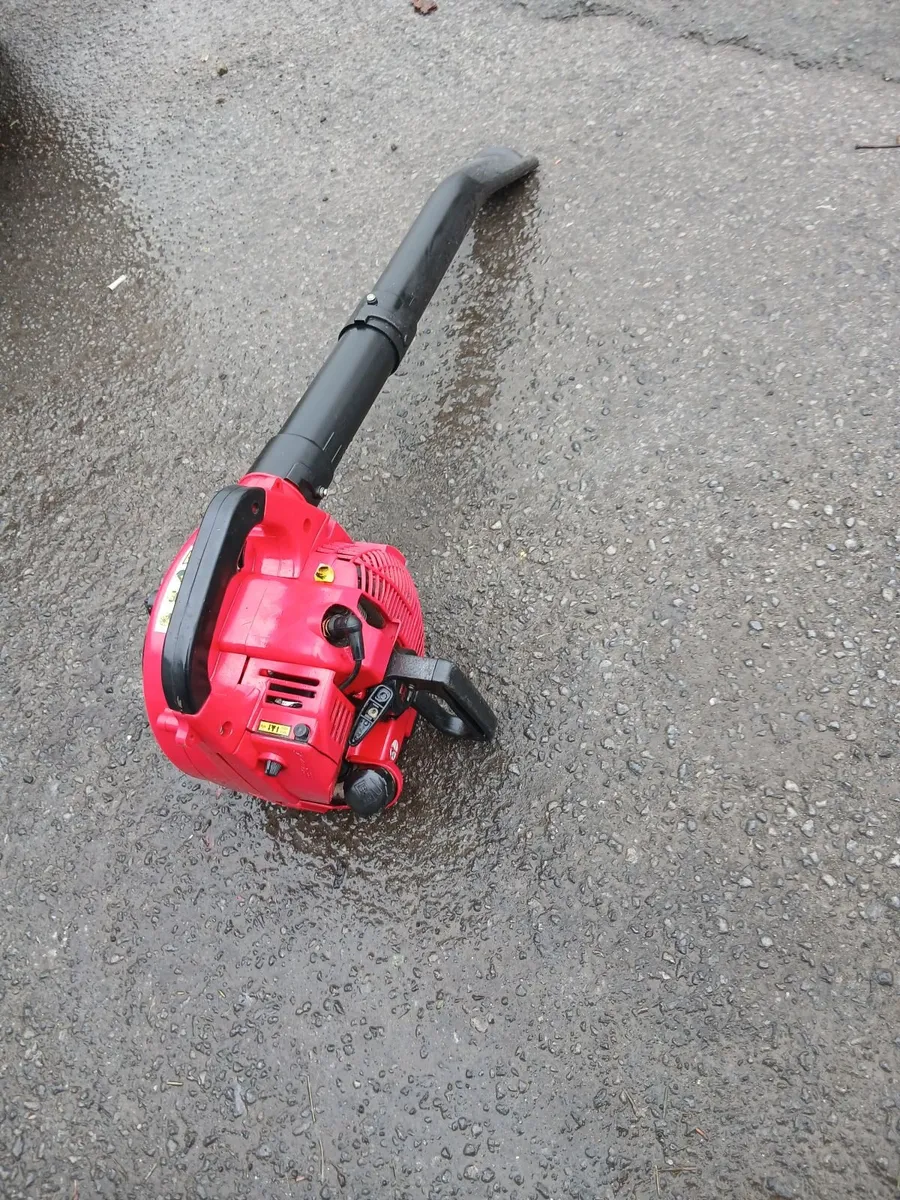 Leaf blower petrol working perfect priced - Image 4