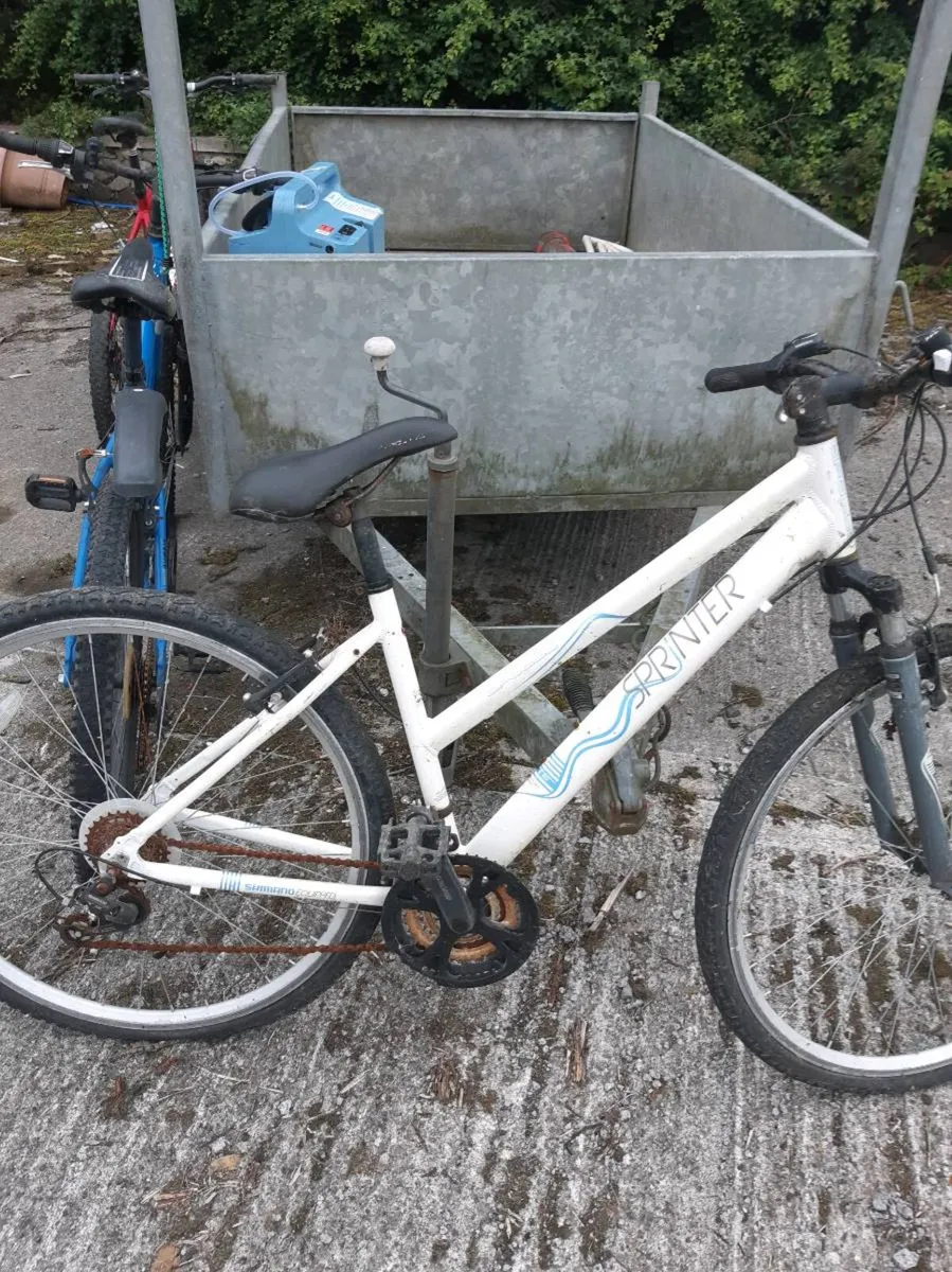 Bikes - Image 3