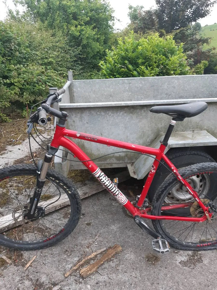 Bikes - Image 1