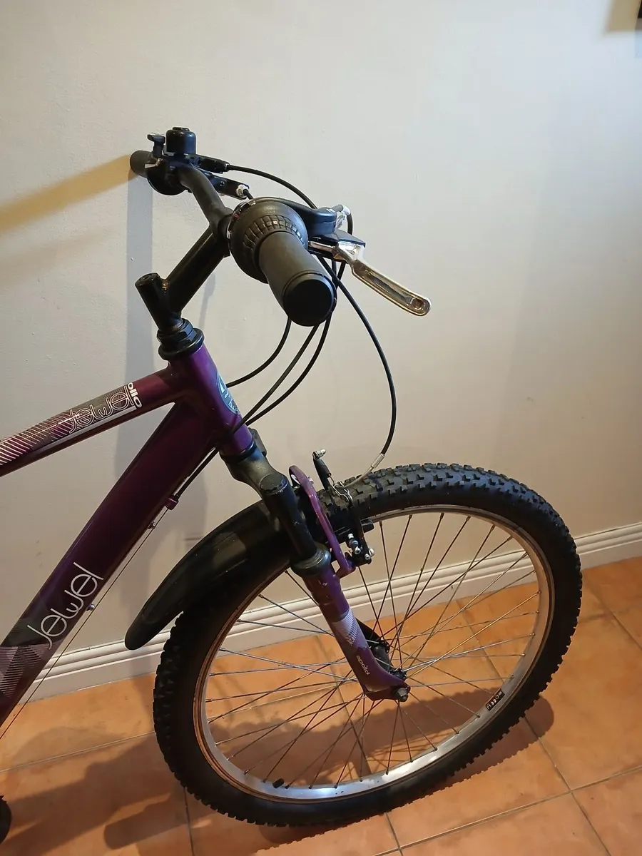 Bicycle - Image 2