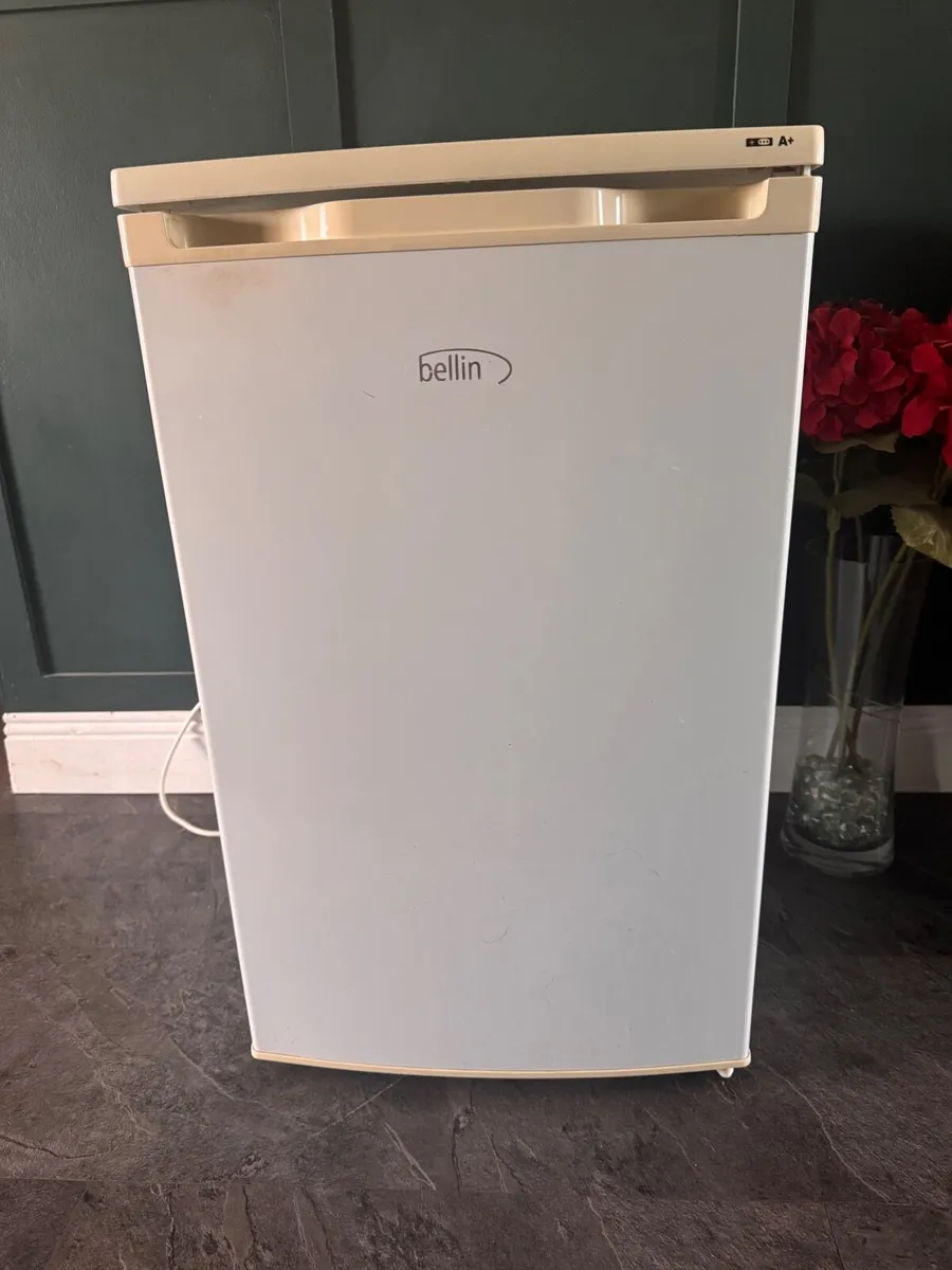 Under Counter Freezer - Image 1