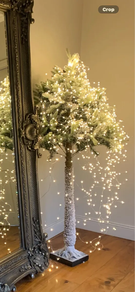 Christmas trees - Image 1