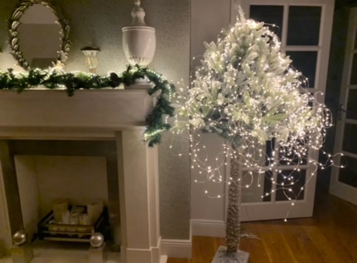 Christmas trees - Image 3