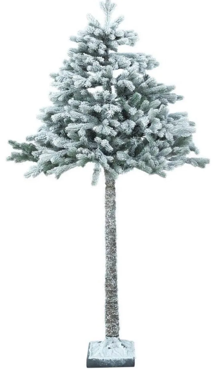 Christmas trees - Image 4