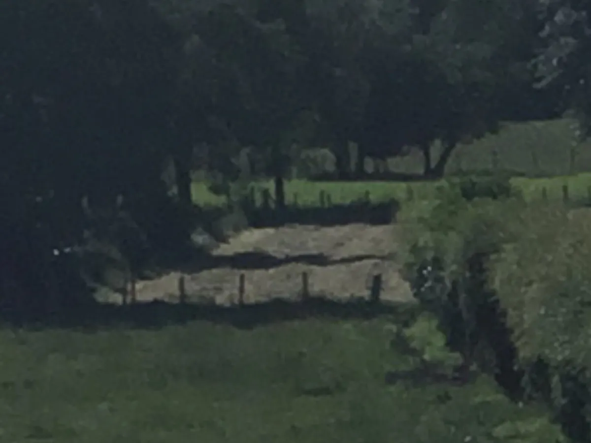 Hay for sale. Small bales.