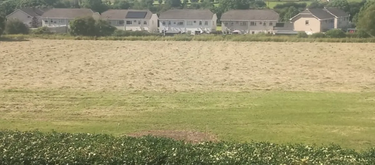 Square bales of hay - Image 3