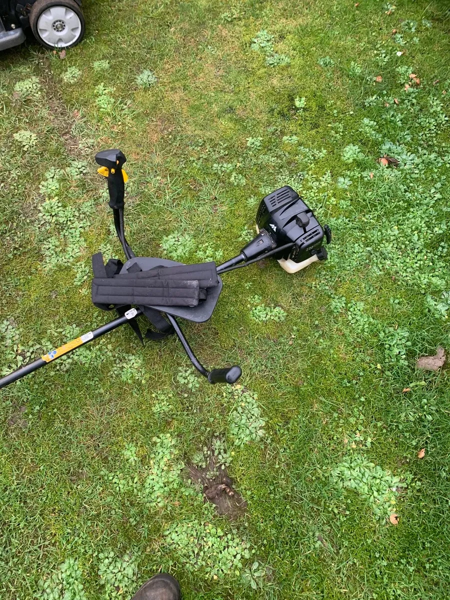 Strimmer - Image 3