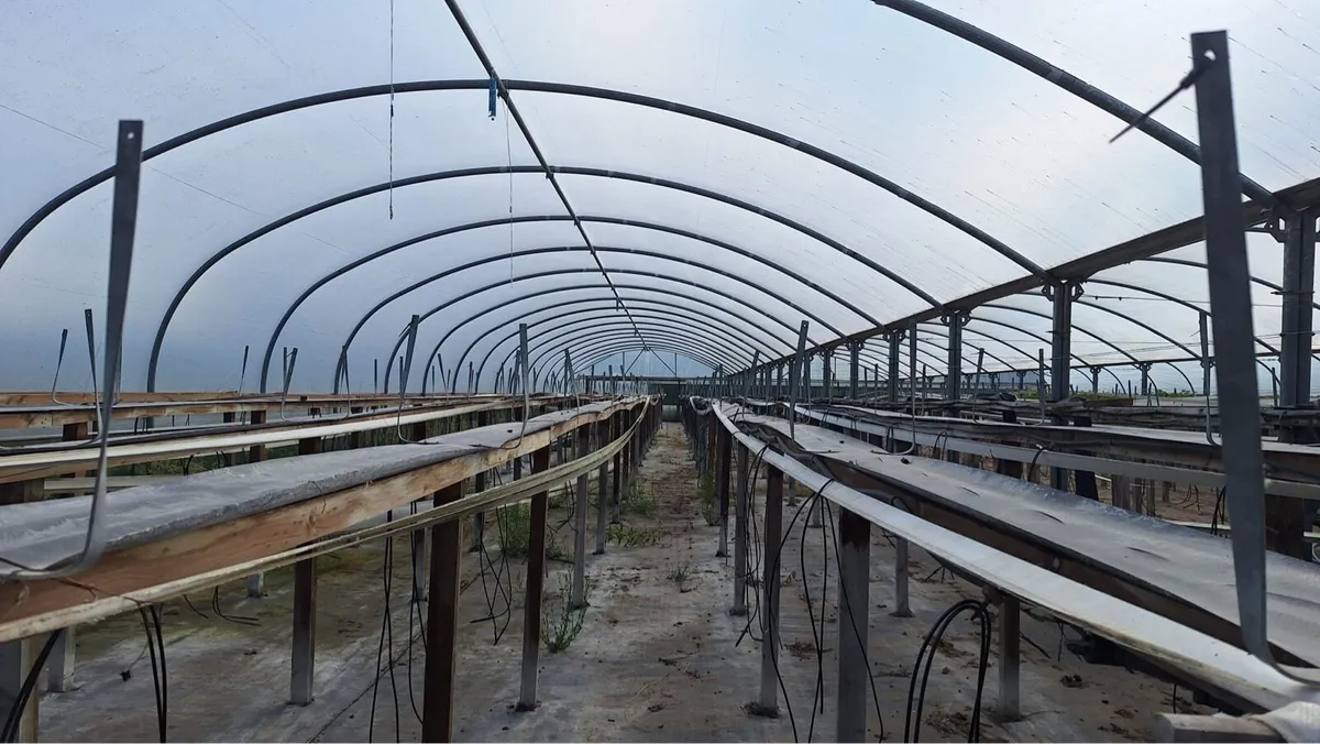 Polytunnel - Image 4