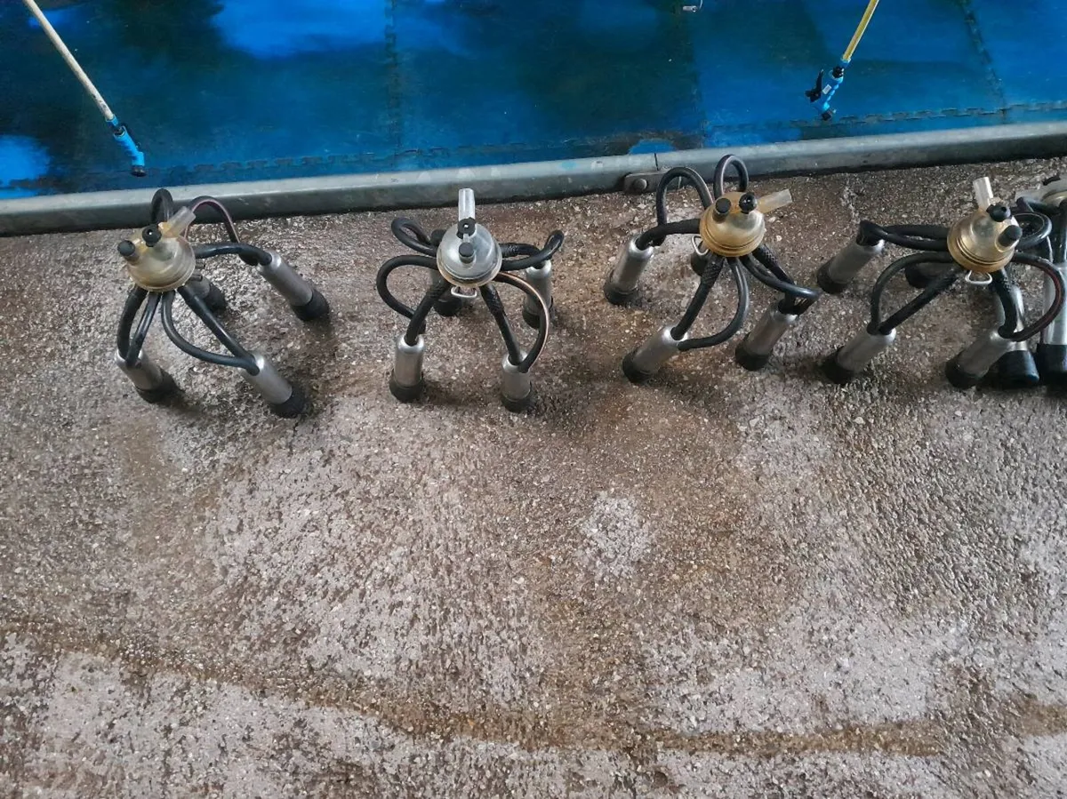 For Sale milking machine clusters - Image 3
