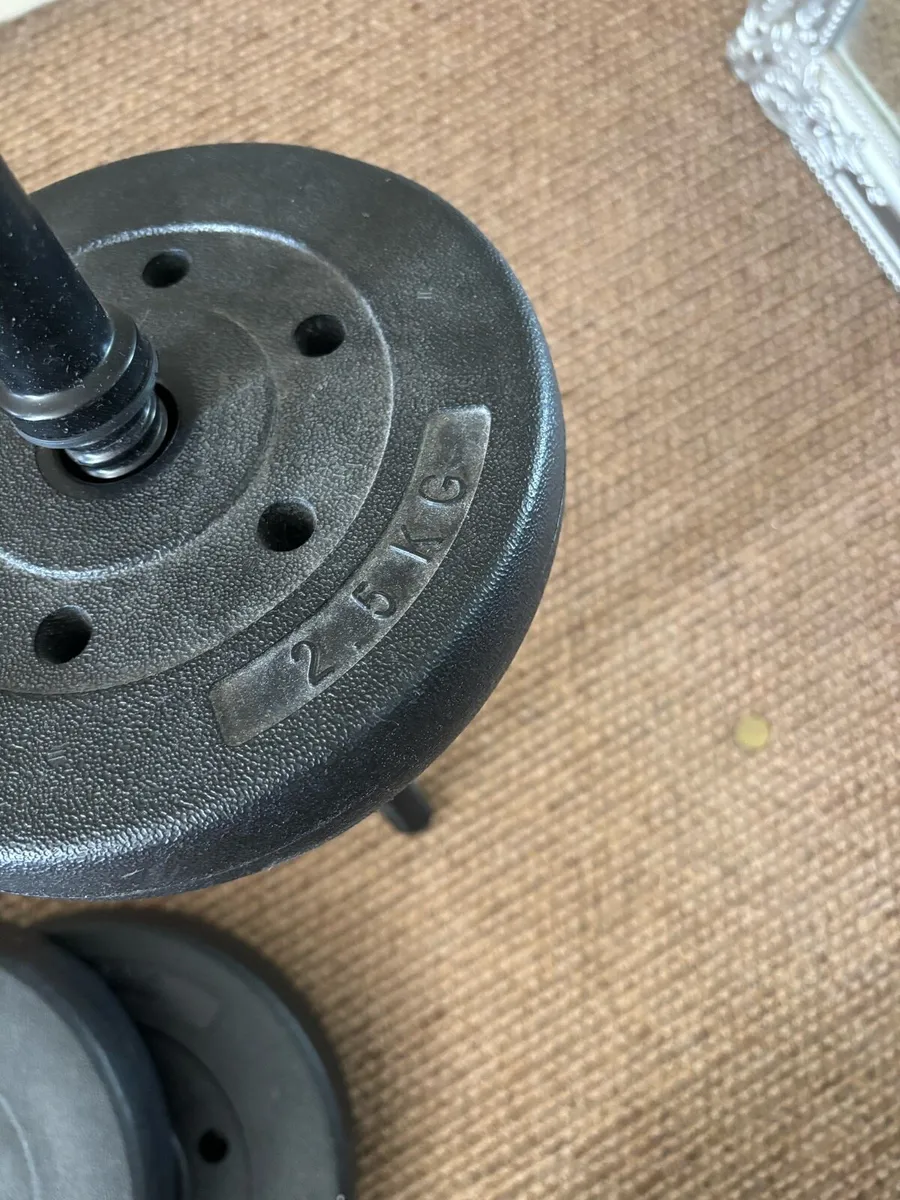 Weights - Image 4