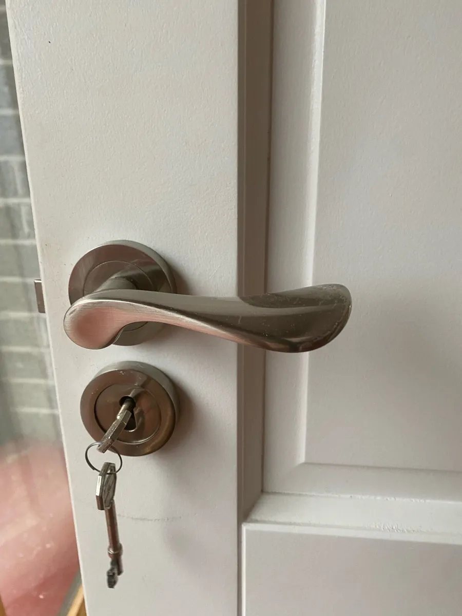 Doors - Image 4