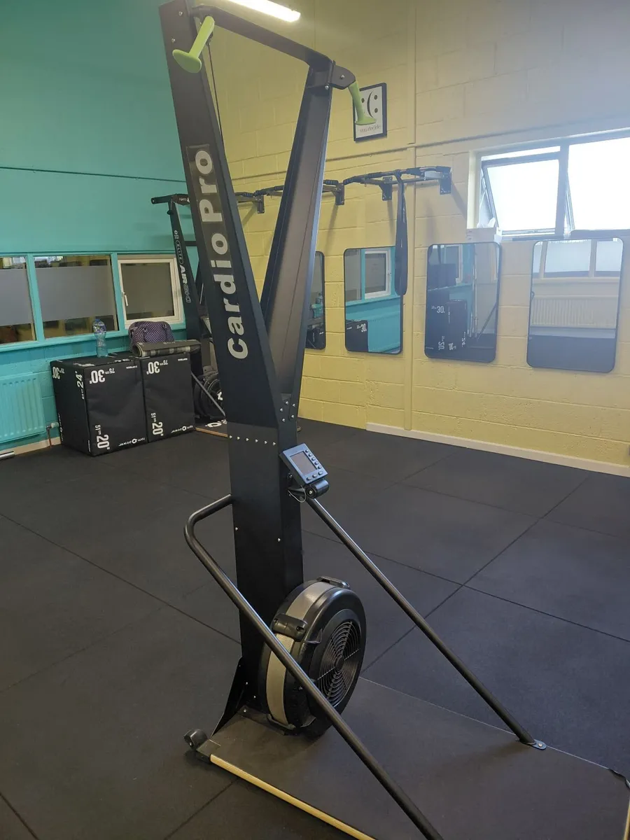 SKI ERG ( CARDIO PRO)