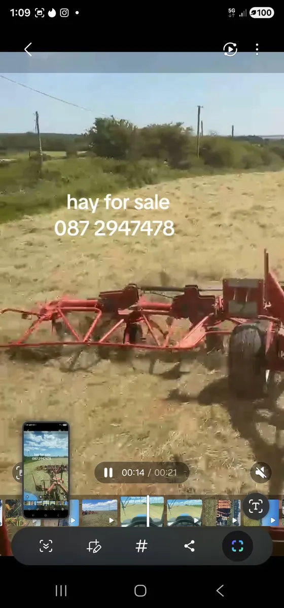 Hay for sale - Image 1