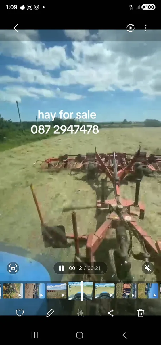 Hay for sale - Image 2