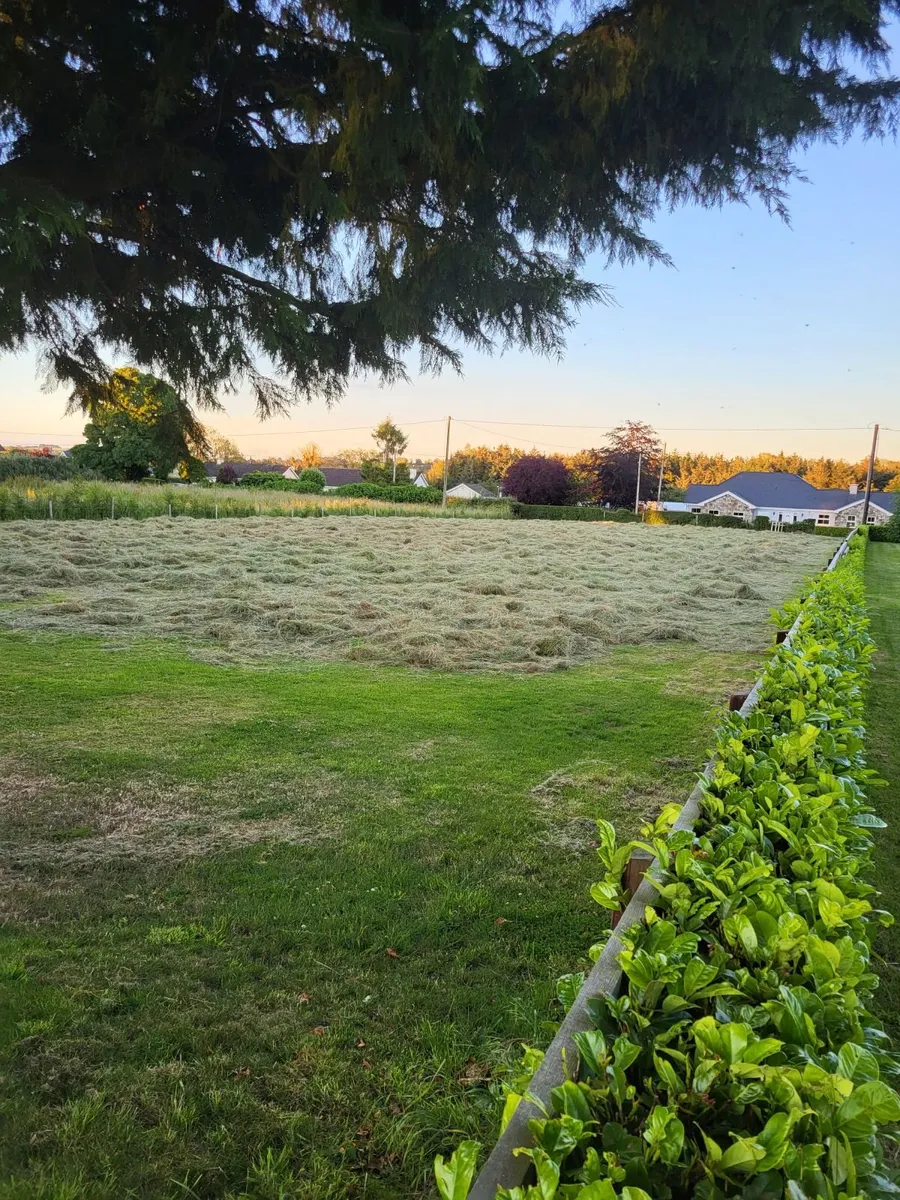 Hay for sale