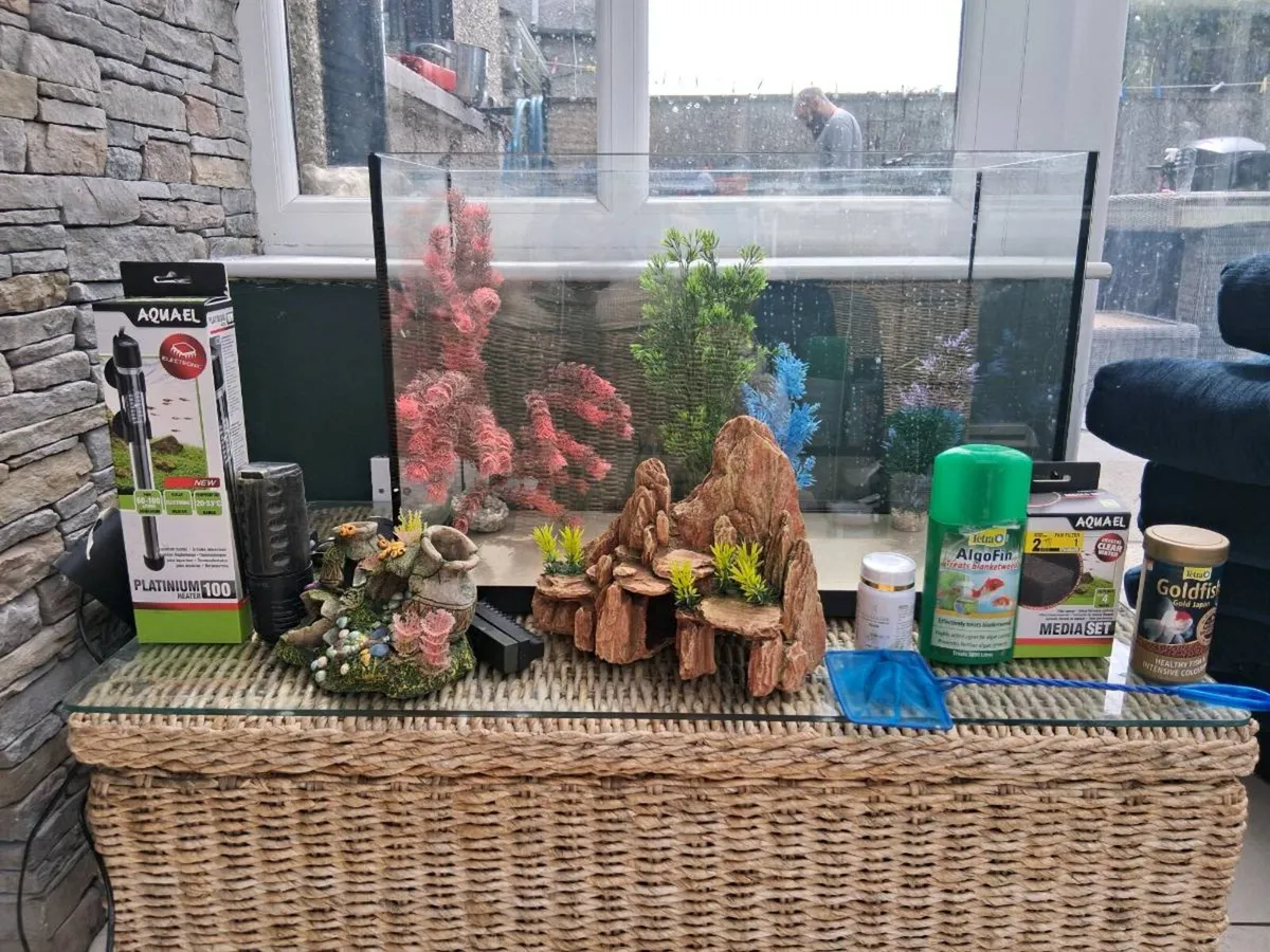 Fish tank with ornaments filters and heater. Food - Image 1