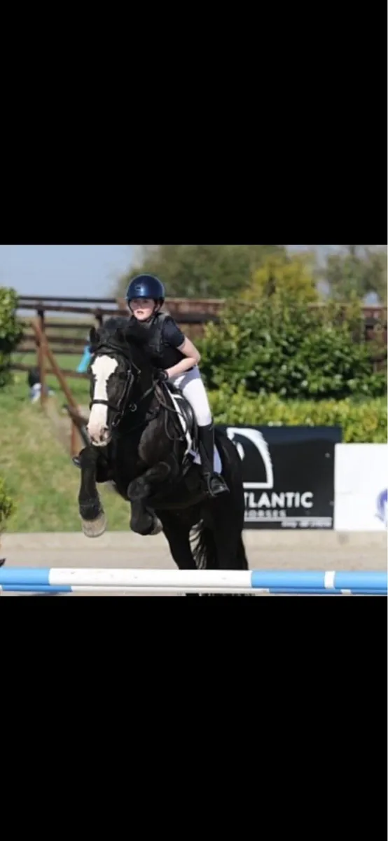 13’2 Cob - Image 1