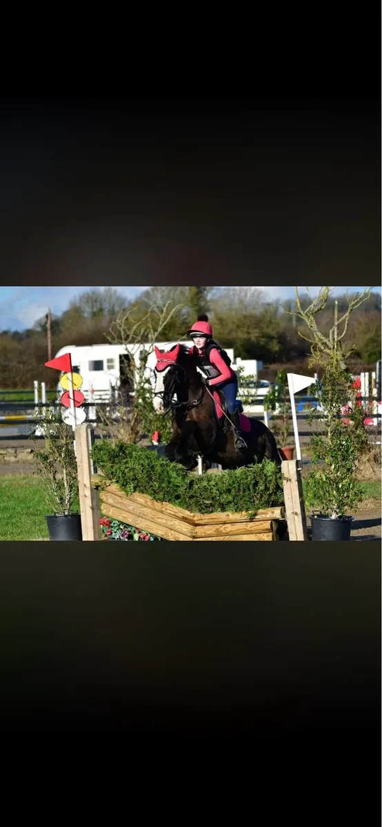 13’2 Cob - Image 3
