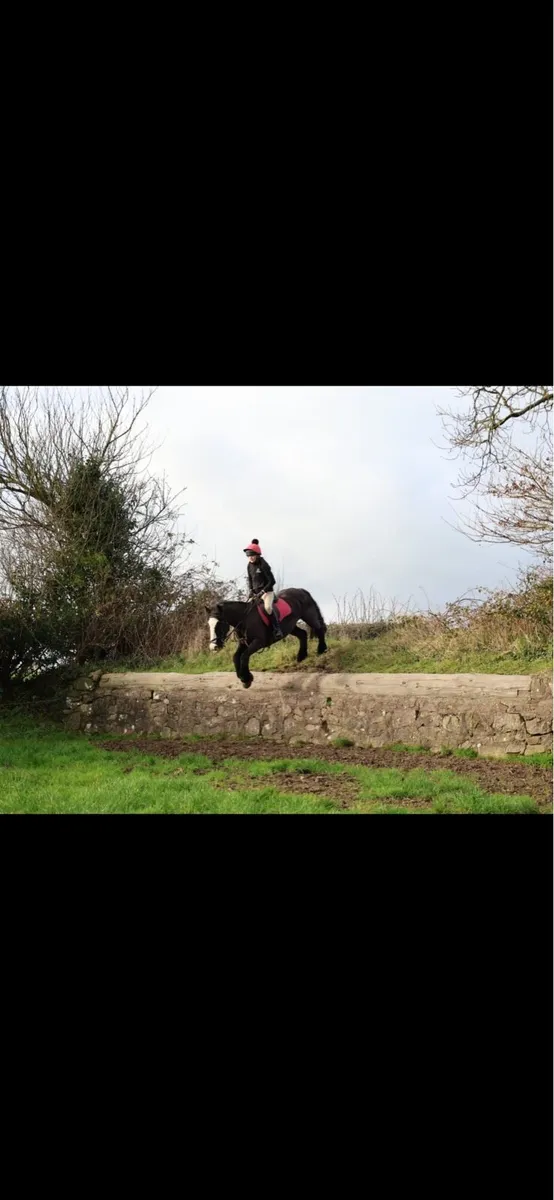 13’2 Cob - Image 4