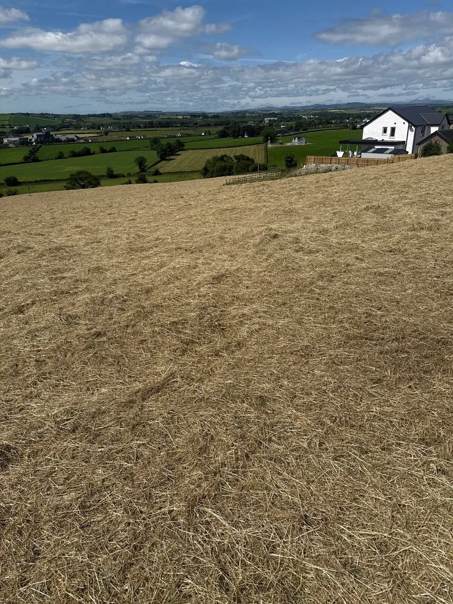 Hay for sale - Image 1