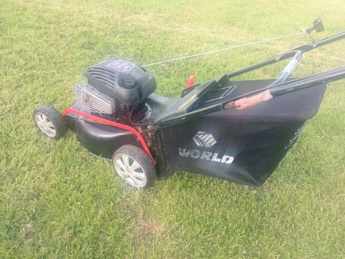 Lawnmowers - Image 4
