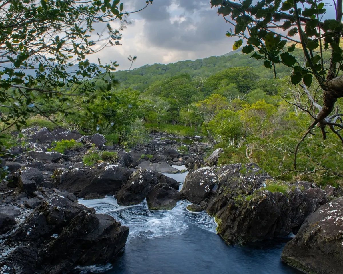 Photography - Image 4