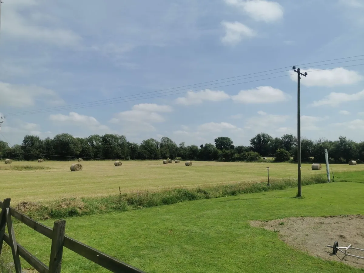 Hay for Sale