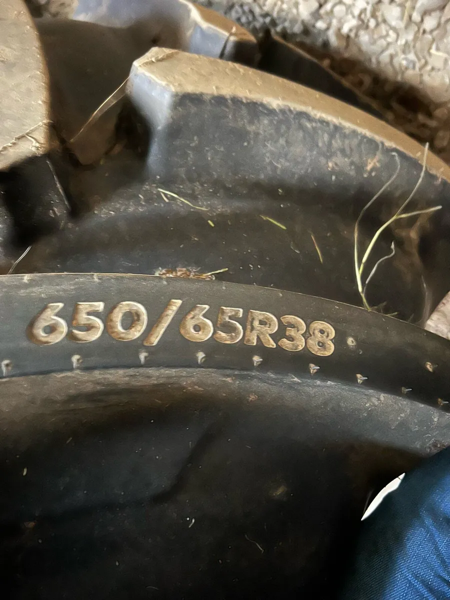 650/65R38 and  540/65R28 - Image 4
