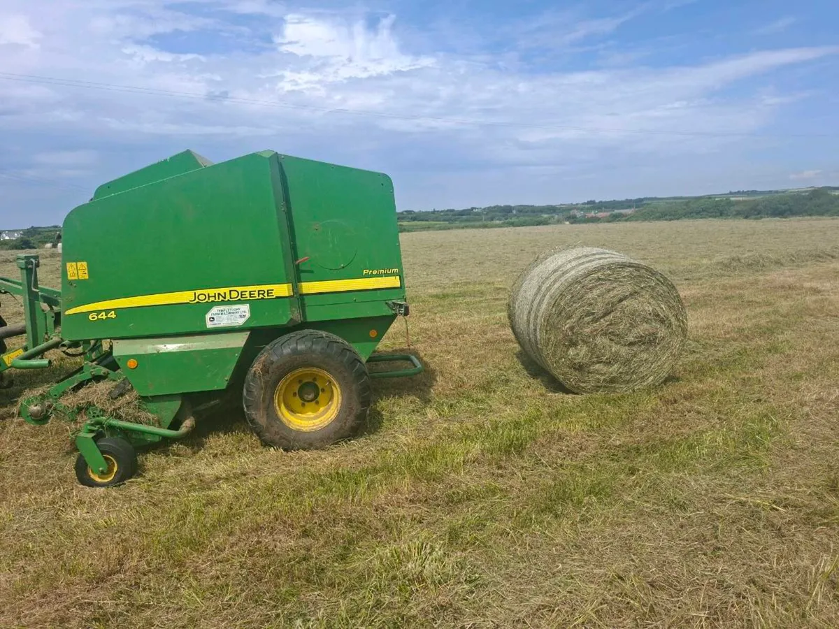 Organic hay for sale off the field - Image 2