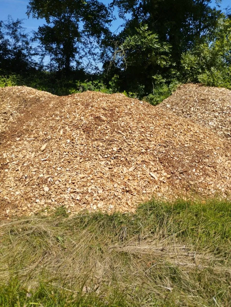 Wood chip - Image 1