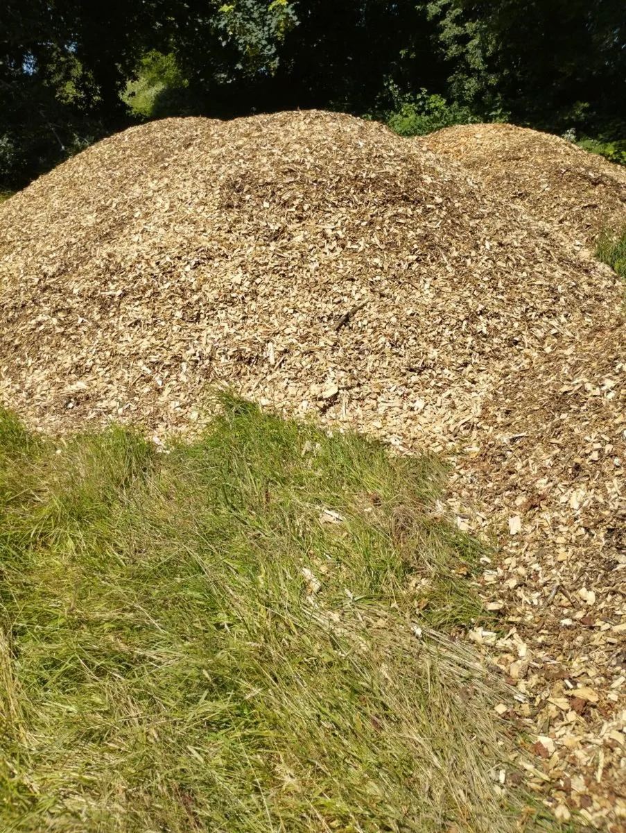 Wood chip - Image 2