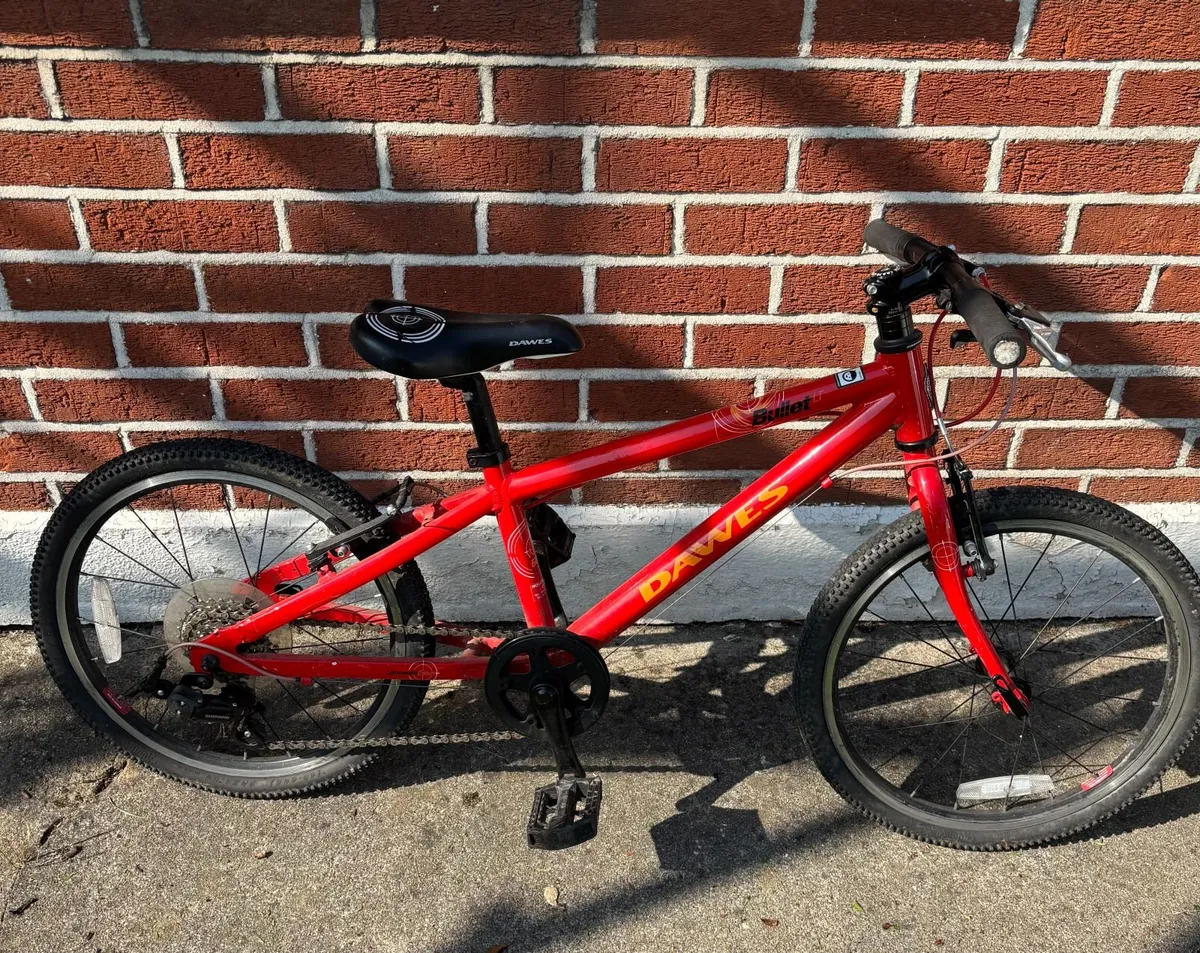Dawes Kid Mountain Bike - Image 1