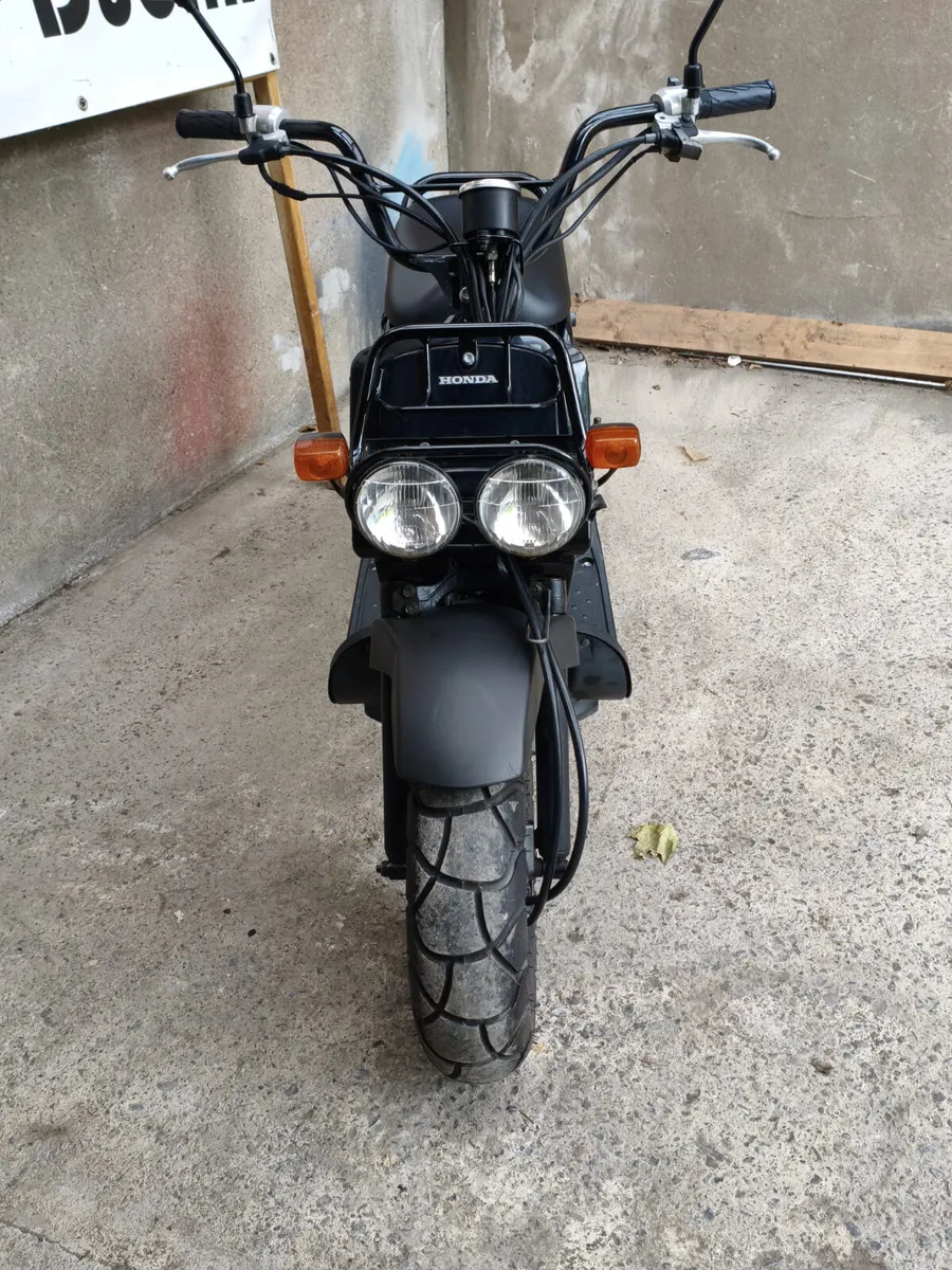 2008 Honda Zoomer - Image 3