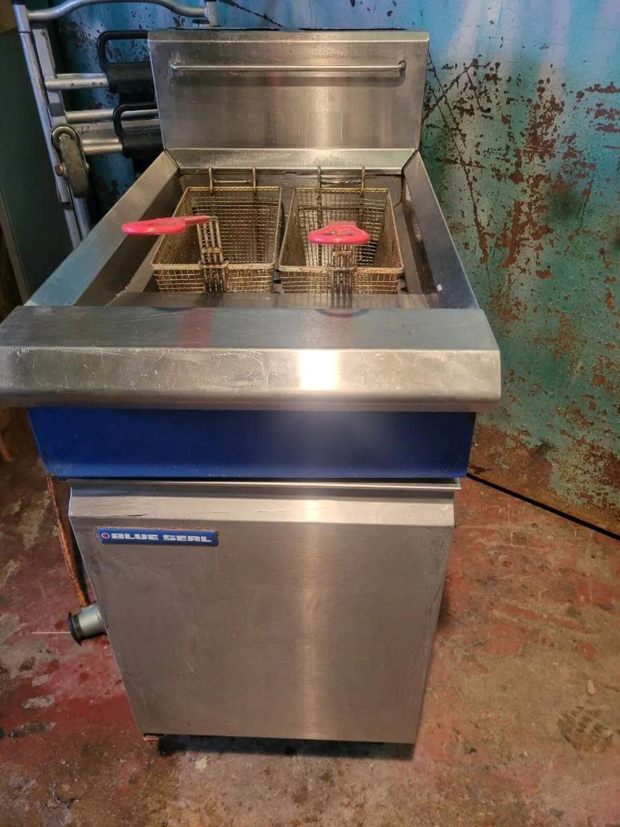 Fryer Natural Gas BLUE SEAL - Image 2