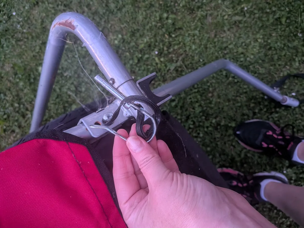 Bike trailer - Image 2