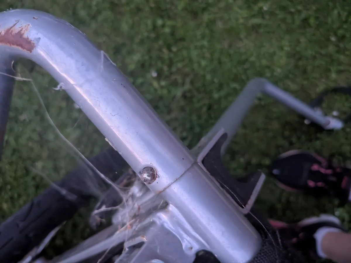 Bike trailer - Image 3