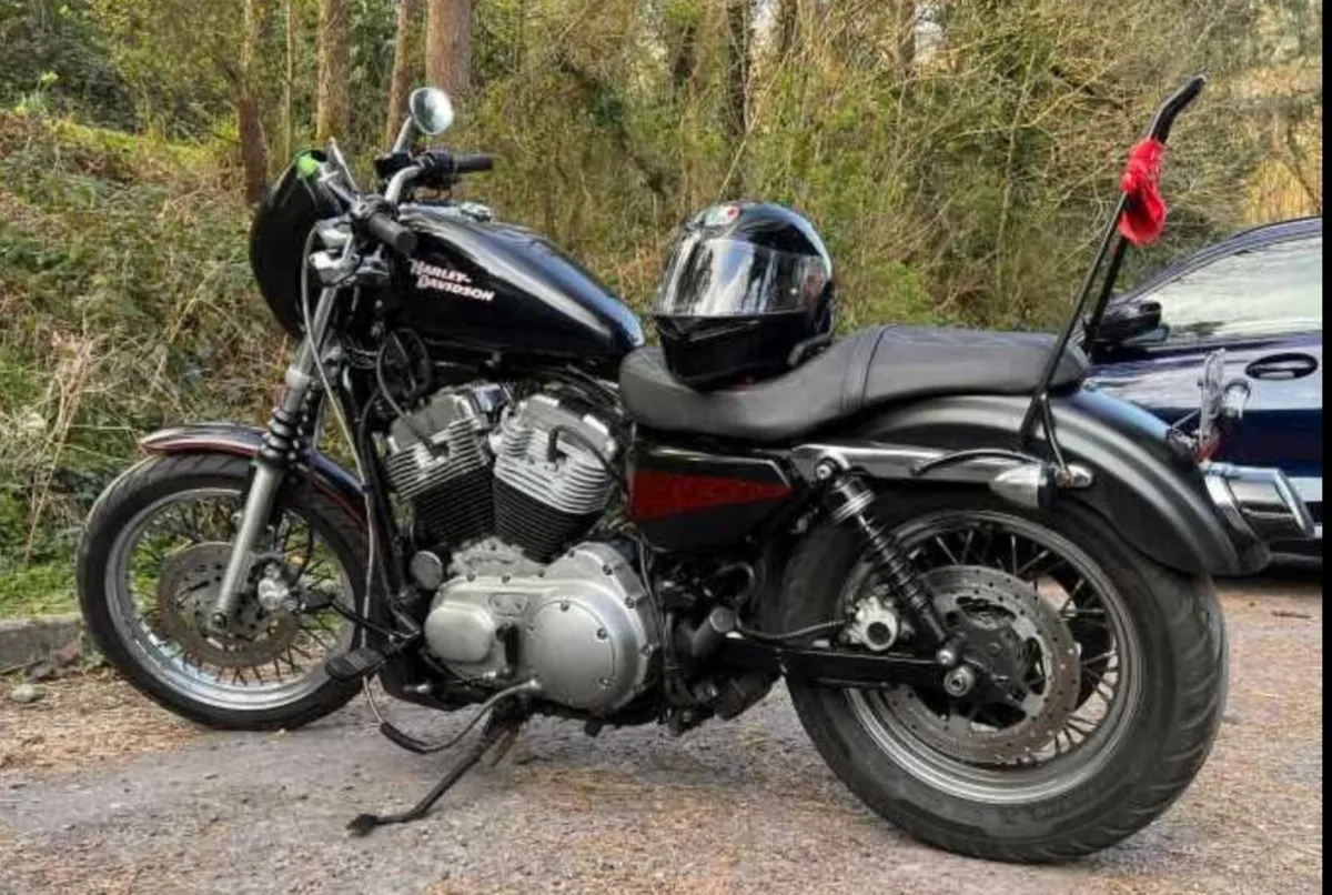 Harley davdison sporster 1275cc 2008 - Image 3