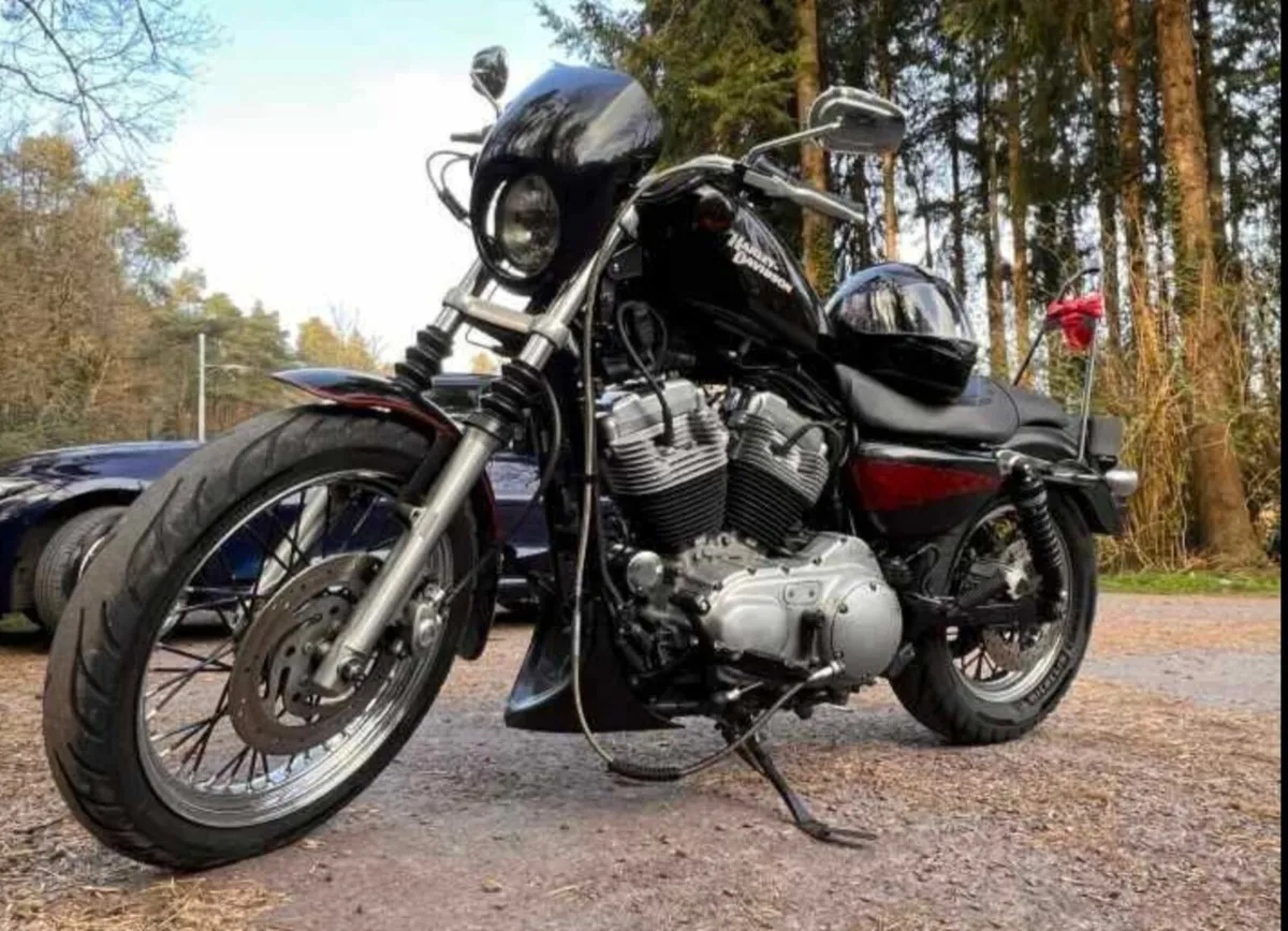 Harley davdison sporster 1275cc 2008 - Image 2