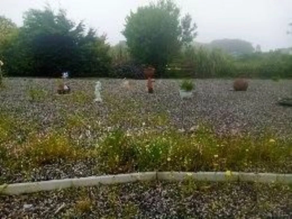 BUNGALOW - Image 2