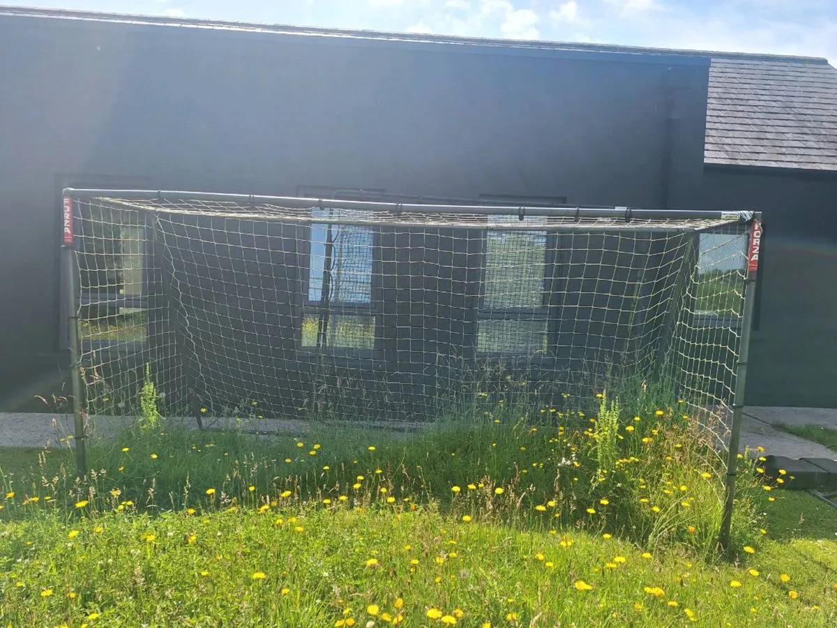 Metal Forza fully sized goal - Image 1