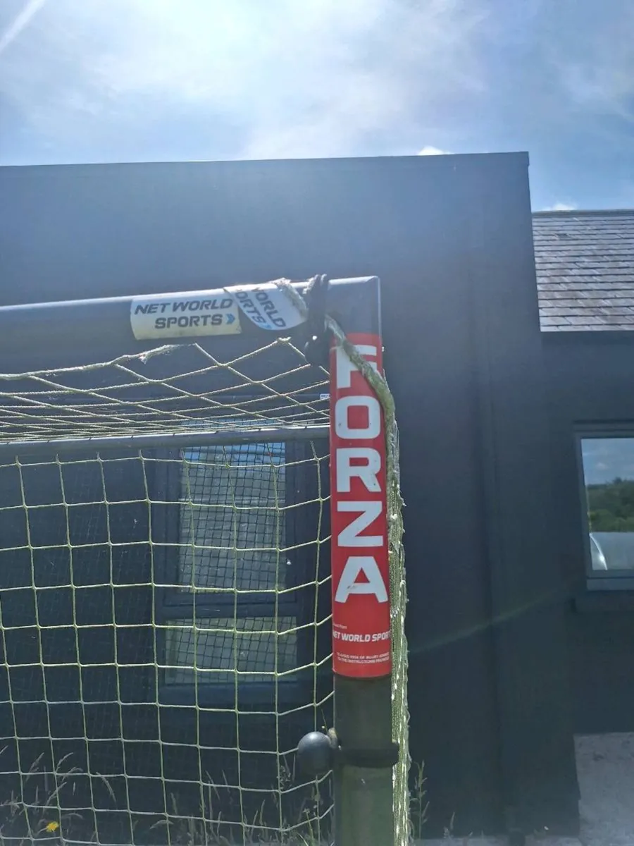 Metal Forza fully sized goal - Image 2