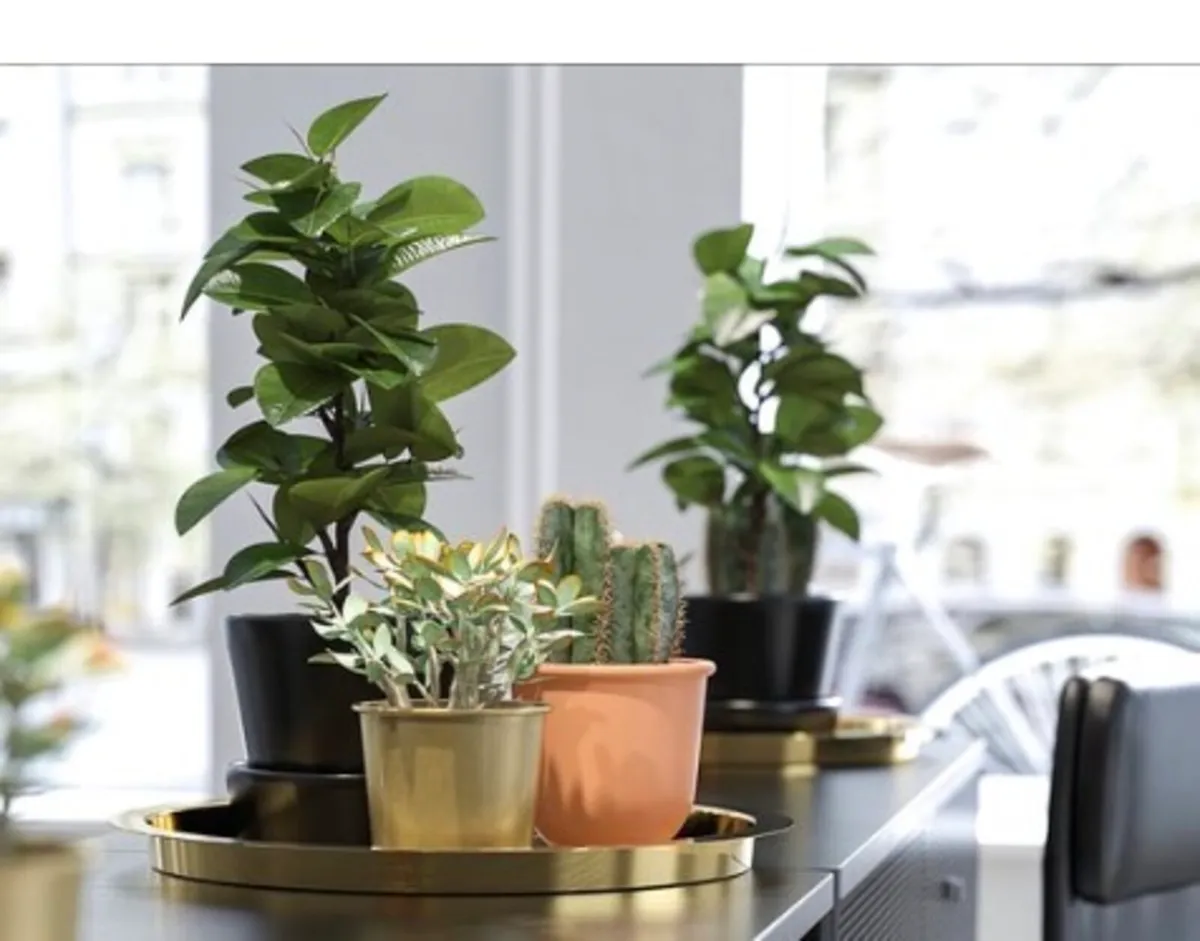 Glattis, IKEA - brass coloured Tray, 38cm - Image 1