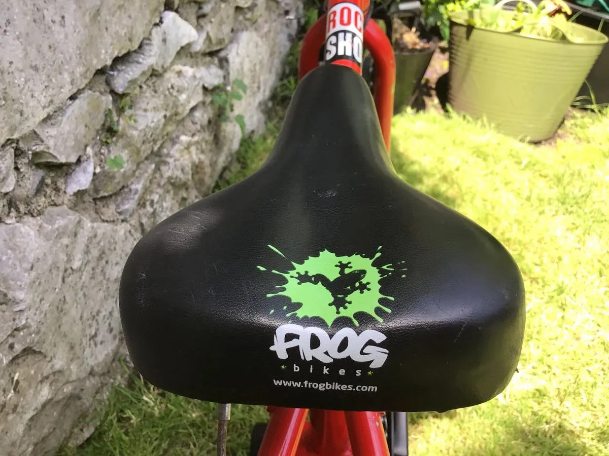 🐸 FROG 52 🐸 THE BIKE TO OWN - Image 3