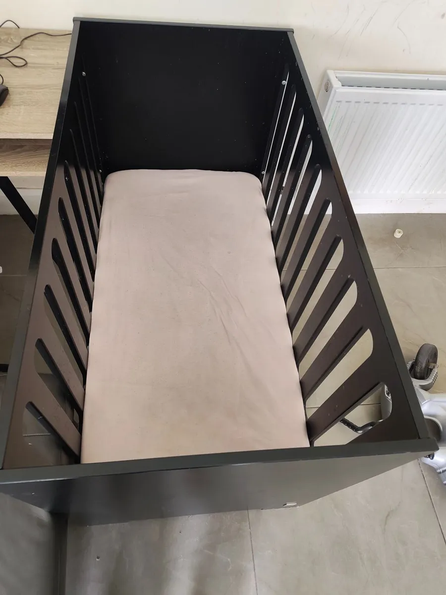 Free cot - Image 1