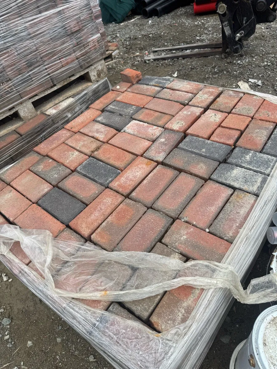 Clay paving bricks - Image 1