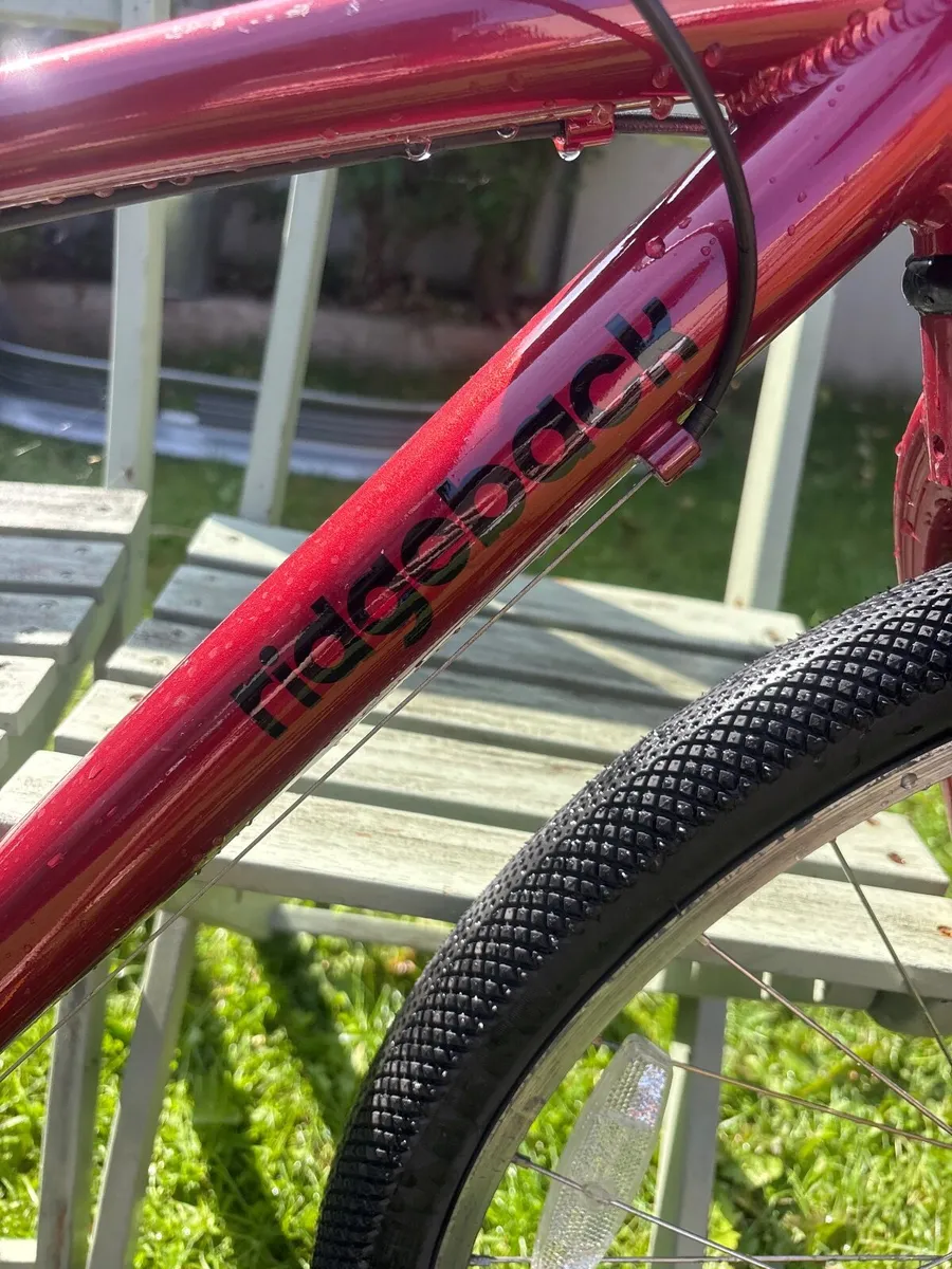 Bike - Image 2