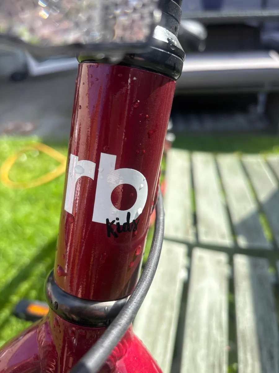 Bike - Image 3