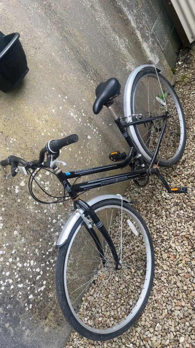 Professional Piccadilly bike - Image 1
